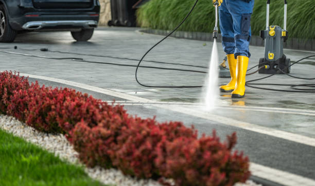 Best Best Pressure Washing Companies  in Primera, TX