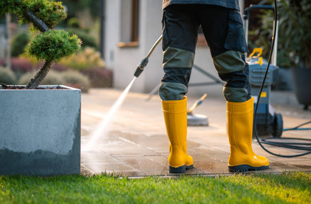 Professional Pressure Washing in Primera, TX